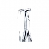 Extracting Forceps American Pattern